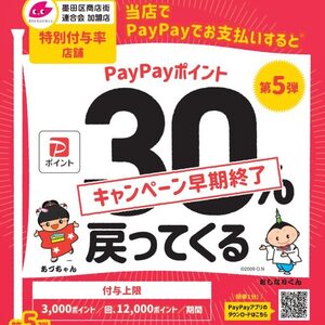 【終了しました】PayPay30％還元キャンペーン